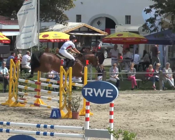 Bad Rothenfelder Reitertage 2014