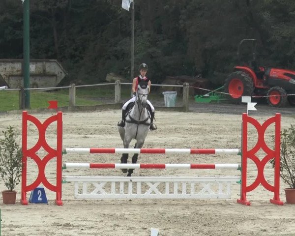Bad Rothenfelder Reitertage 2014