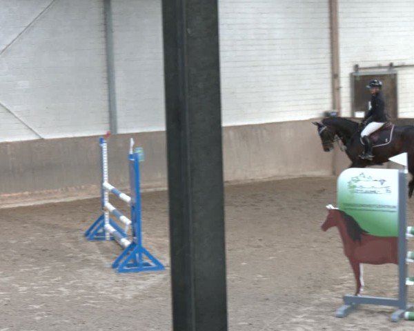 Reitturnier Barsinghausen 2025