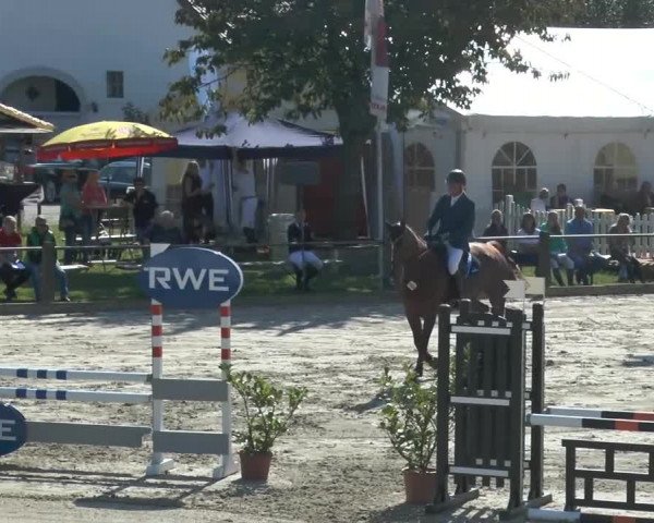 Bad Rothenfelder Reitertage 2014