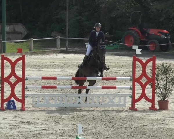 Bad Rothenfelder Reitertage 2014