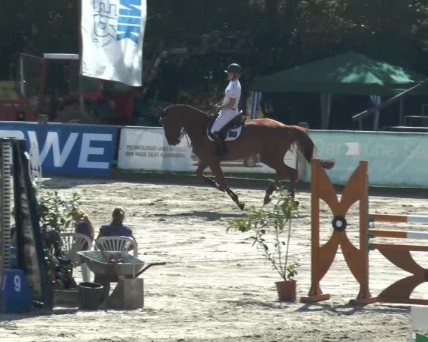 Bad Rothenfelder Reitertage 2014