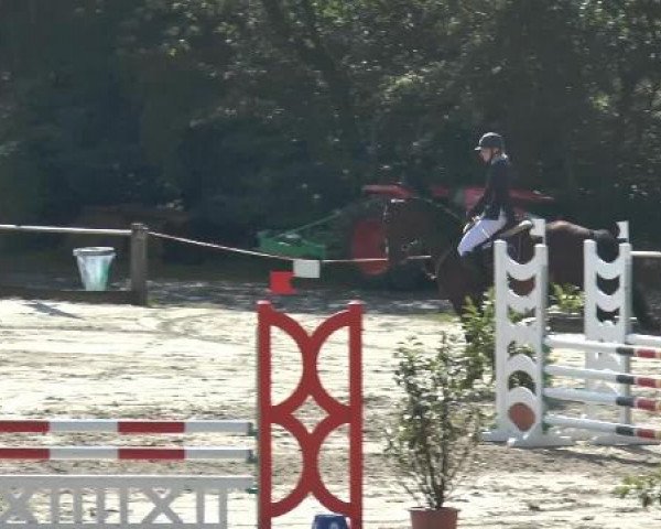 Bad Rothenfelder Reitertage 2014