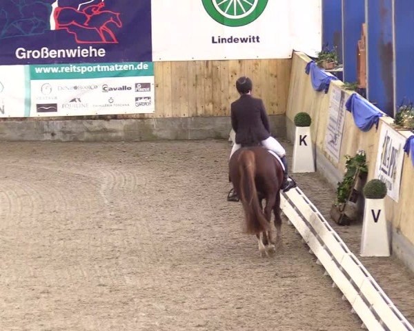 Reitturnier Großenwiehe 2025