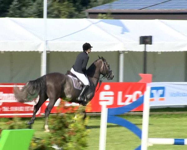 Reitertage Holdorf 2014