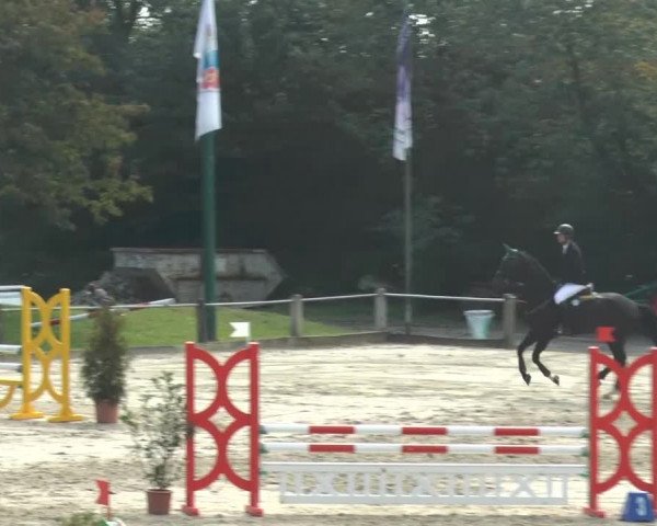 Bad Rothenfelder Reitertage 2014