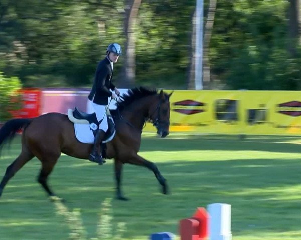 Reitertage Holdorf 2014