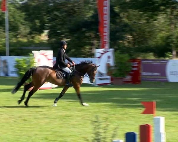Reitertage Holdorf 2014