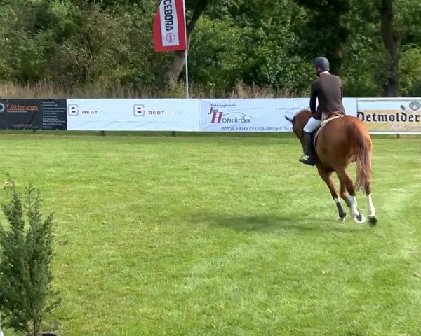 Reitertage Holdorf 2014