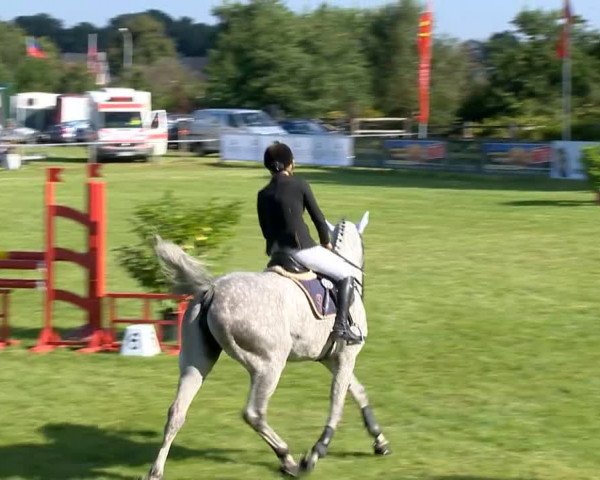 Reitertage Holdorf 2014