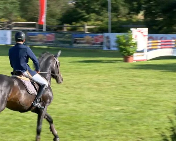 Reitertage Holdorf 2014
