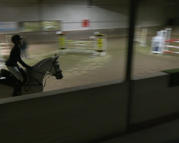 Reitturnier Barsinghausen 2025