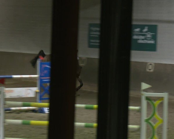 Reitturnier Barsinghausen 2025