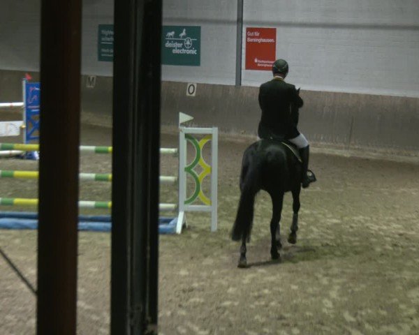 Reitturnier Barsinghausen 2025