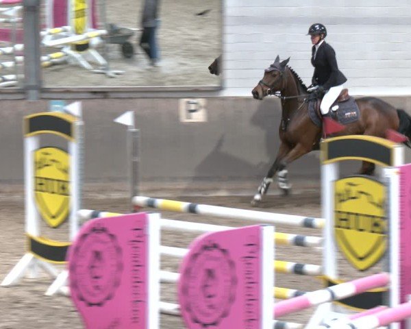 Reitturnier Barsinghausen 2025