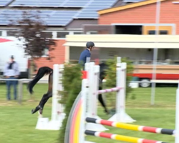 Reitertage Holdorf 2014