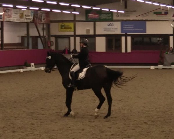 Reitturnier Vlotho-Exter 2021