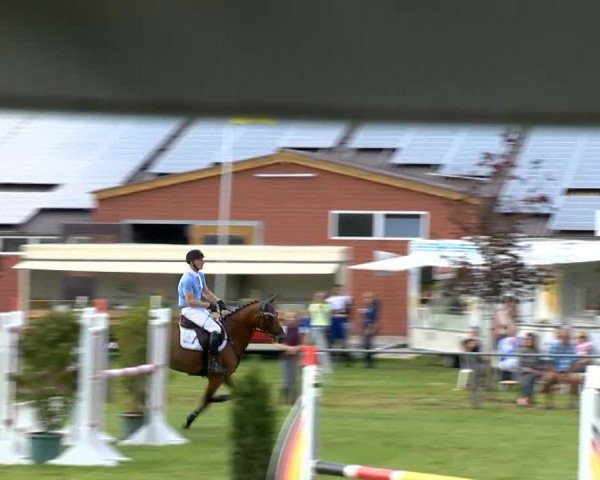 Reitertage Holdorf 2014