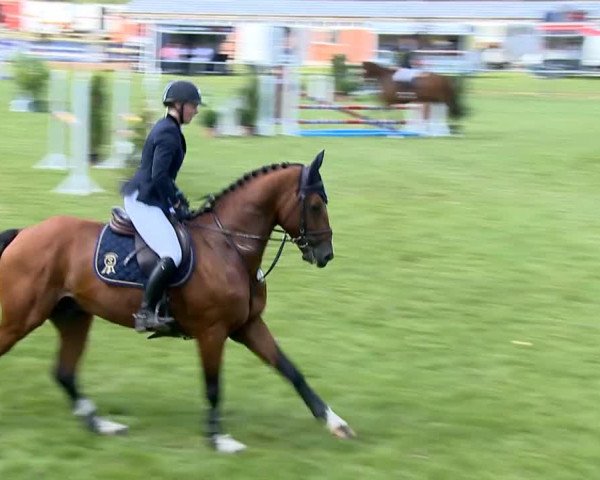 Reitertage Holdorf 2014