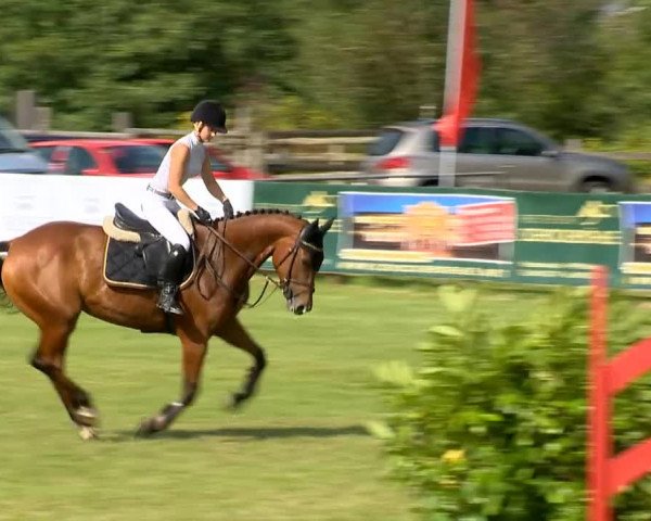 Reitertage Holdorf 2014