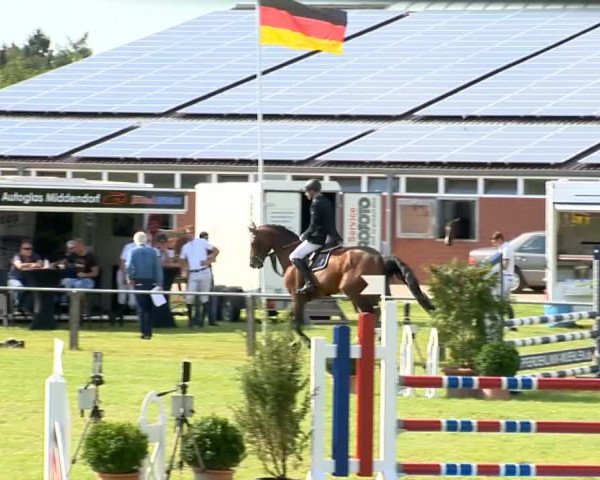 Reitertage Holdorf 2014