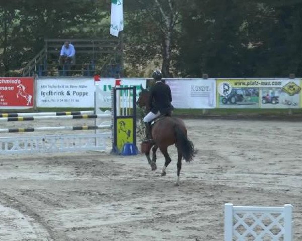 Bad Rothenfelder Reitertage 2014