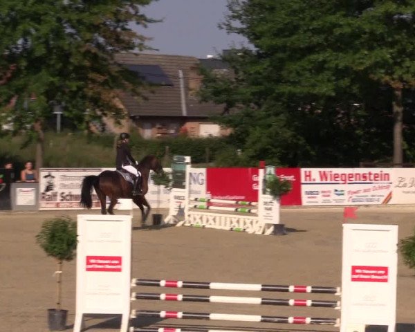 Dressur- und Springturnier Ochtrup 2021
