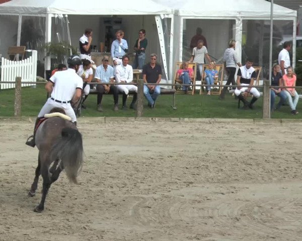 Bad Rothenfelder Reitertage 2014