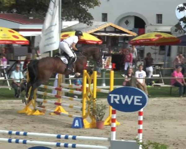 Bad Rothenfelder Reitertage 2014