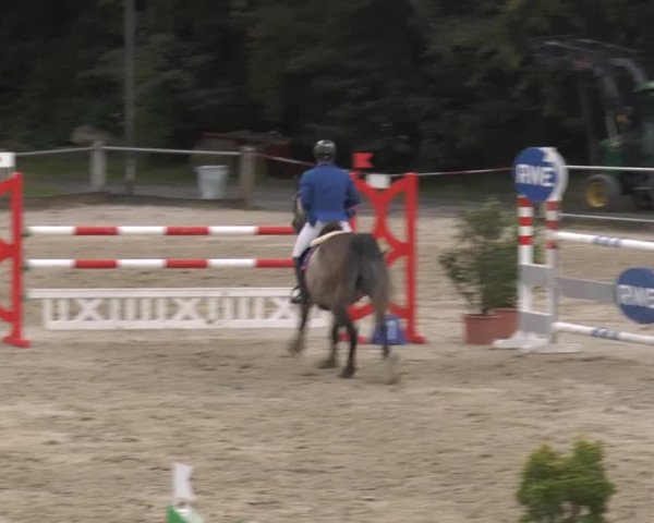 Bad Rothenfelder Reitertage 2014