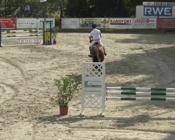 Bad Rothenfelder Reitertage 2014