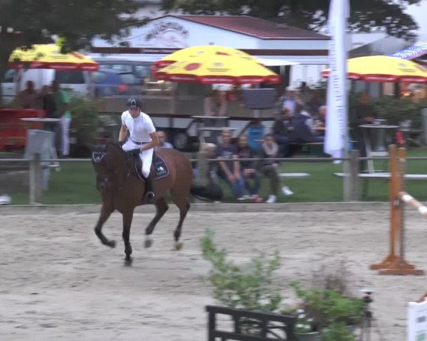Bad Rothenfelder Reitertage 2014