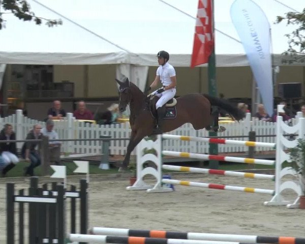 Bad Rothenfelder Reitertage 2014