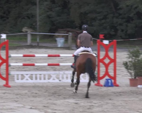Bad Rothenfelder Reitertage 2014