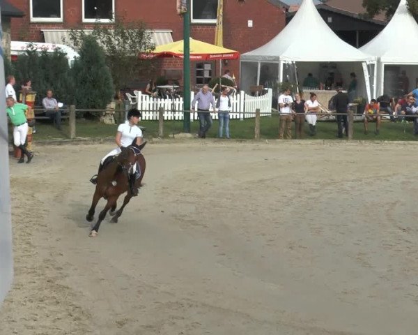 Bad Rothenfelder Reitertage 2014