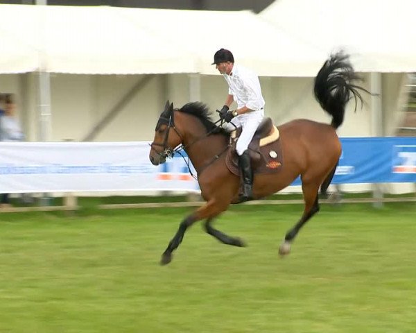 Reitertage Holdorf 2014