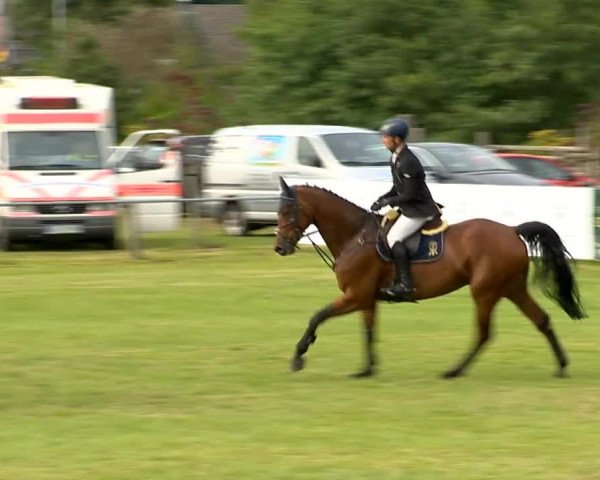 Reitertage Holdorf 2014