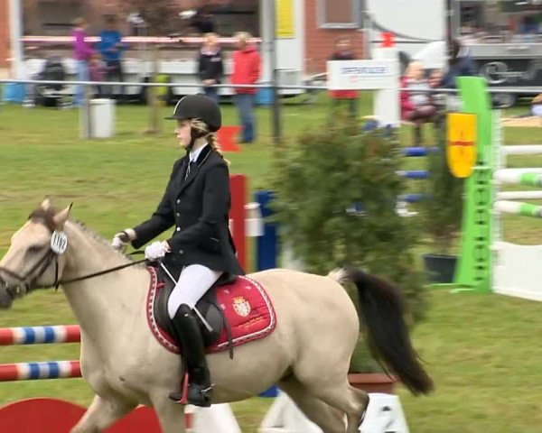 Reitertage Holdorf 2014