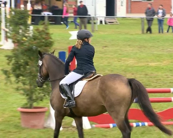 Reitertage Holdorf 2014