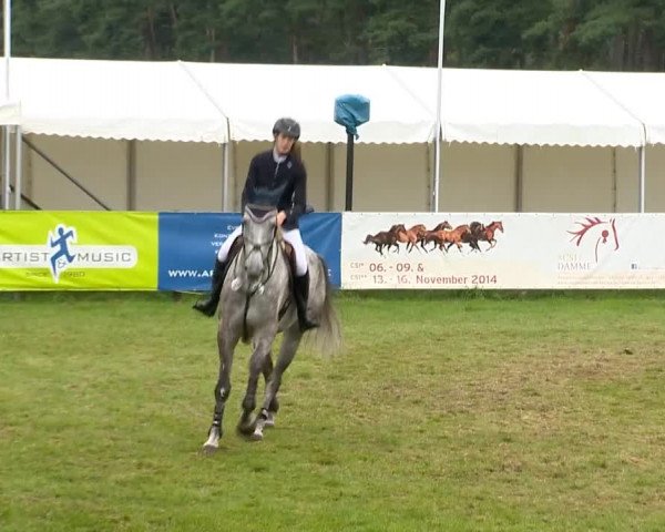 Reitertage Holdorf 2014