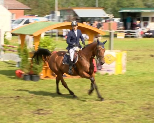 Reitertage Holdorf 2014