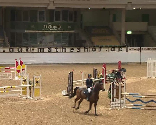 Reitturnier Kreuth/Opf. 2025