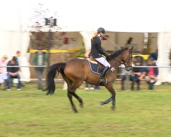 Reitertage Holdorf 2014