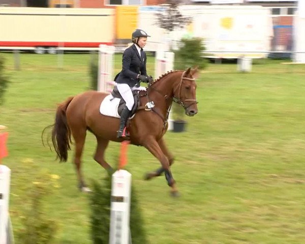 Reitertage Holdorf 2014