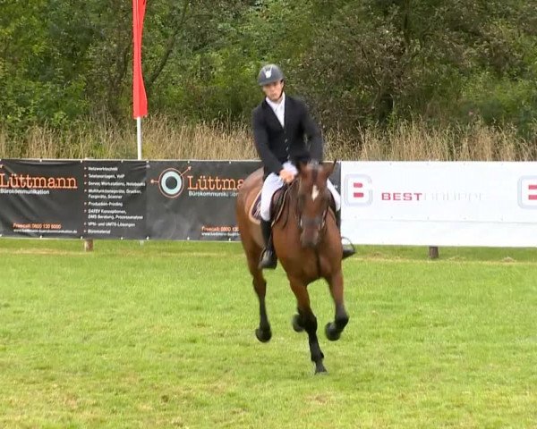 Reitertage Holdorf 2014
