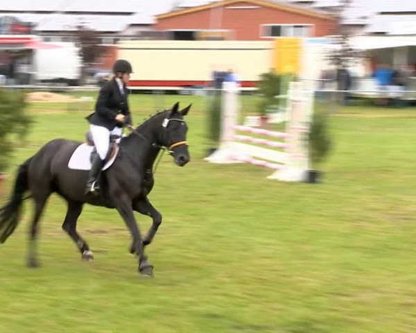 Reitertage Holdorf 2014