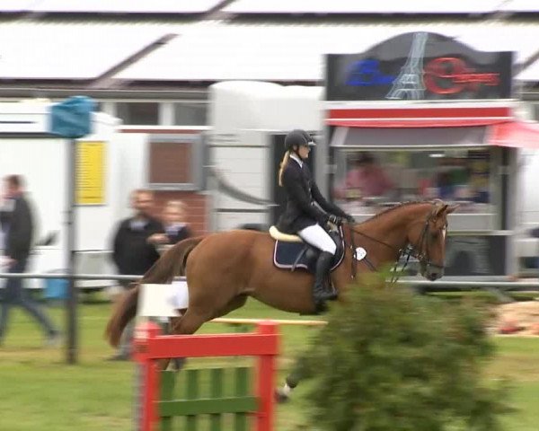 Reitertage Holdorf 2014