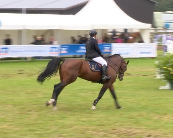 Reitertage Holdorf 2014