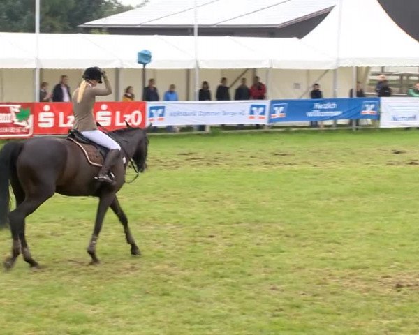 Reitertage Holdorf 2014