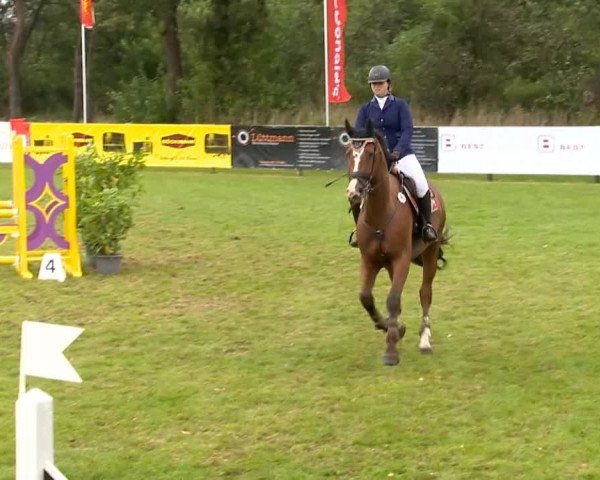 Reitertage Holdorf 2014